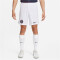 NIKE Paris Saint-Germain Stadium Heim/Auswärts Dri-FIT Fußballshorts 2023/24 Herren 100 - white/midnight navy/midnight navy S