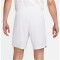 NIKE Inter Mailand Stadium Dri-FIT Heim/Auswärts Shorts 2023/24 Herren 100 - white/white/lyon blue XS