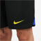 NIKE Inter Mailand Stadium Dri-FIT Heim/Auswärts Shorts 2023/24 Herren 010 - black/lyon blue/vibrant yellow S