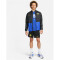 NIKE Inter Mailand Stadium Dri-FIT Heim/Auswärts Shorts 2023/24 Herren 010 - black/lyon blue/vibrant yellow S