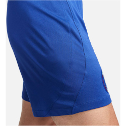 NIKE FC Chelsea London Stadium Dri-FIT Heimshorts 2023/24 Herren 495 - rush blue/club gold S