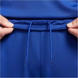 NIKE FC Chelsea London Stadium Dri-FIT Heimshorts 2023/24 Herren 495 - rush blue/club gold S