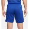 NIKE FC Chelsea London Stadium Dri-FIT Heimshorts 2023/24 Herren 495 - rush blue/club gold S
