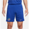 NIKE FC Chelsea London Stadium Dri-FIT Heimshorts 2023/24 Herren 495 - rush blue/club gold S