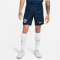 NIKE FC Chelsea London Stadium Dri-FIT Ausw&auml;rtsshorts 2023/24 Herren 427 - soar/white S