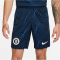 NIKE FC Chelsea London Stadium Dri-FIT Ausw&auml;rtsshorts 2023/24 Herren 427 - soar/white S