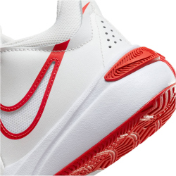 NIKE Team Hustle D 11 Basketballschuhe Kinder 102 - summit white/track red-white 38.5