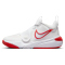 NIKE Team Hustle D 11 Basketballschuhe Kinder 102 - summit white/track red-white 38.5