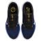 NIKE Winflo 10 Laufschuhe Herren 005 - black/wolf grey-racer blue-high voltage 38.5