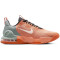 NIKE Air Max Alpha Trainingsschuhe Herren 200 - amber brown/guava ice-mica green 40