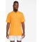NIKECourt Dri-FIT Tennis Poloshirt Herren 717 - sundial/white M