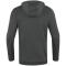 JAKO VfB Stuttgart Pro Casual Zip-Hoodie 2023/24 855 - aschgrau XXL