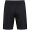 JAKO 1. FSV Mainz 05 Power Trainingsshorts 2023/24 800 - schwarz S