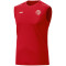 JAKO 1. FSV Mainz 05 Classico Tanktop 2023/24 100 - rot S