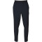 WITEBLAZE Vayu Trainingshose Herren 9000 - schwarz 54