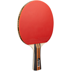 JOOLA Family Advanced Tischtennis-Set