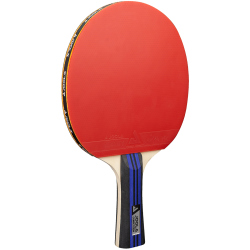 JOOLA Family Advanced Tischtennis-Set