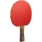 JOOLA Family Advanced Tischtennis-Set