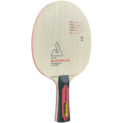 JOOLA Tezzo Guardian Holz straight