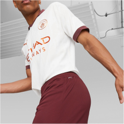 PUMA Manchester City FC Replica Shorts Herren