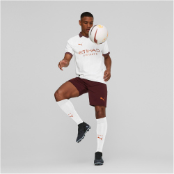 PUMA Manchester City FC Replica Shorts Herren