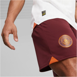 PUMA Manchester City FC Replica Shorts Herren