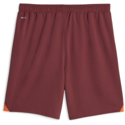 PUMA Manchester City FC Replica Shorts Herren
