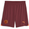 PUMA Manchester City FC Replica Shorts Herren