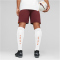 PUMA Manchester City FC Replica Shorts Herren