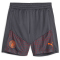 PUMA Manchester City FC Trainingsshorts Kinder 16 - strong gray/aubergine 152