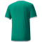 PUMA teamLIGA Trainingsshirt Herren pepper green/puma white XS