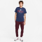 NIKE Paris Saint-Germain Mercurial T-Shirt Herren