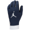 NIKE Paris Saint-Germain Academy Thermafit Torwarthandschuhe 2023 010 - black/midnight navy/white S