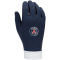 NIKE Paris Saint-Germain Academy Thermafit Torwarthandschuhe 2023 010 - black/midnight navy/white S
