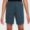 NIKE Dri-FIT Academy23 Fu&szlig;ballshorts Kinder 328 - deep jungle/black/black M (137-147 cm)