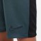NIKE Dri-FIT Academy23 Fu&szlig;ballshorts Kinder 328 - deep jungle/black/black M (137-147 cm)