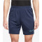 NIKE Dri-FIT Academy Fußballshorts Herren 410 - midnight navy/black/hyper turq S