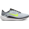 NIKE Winflo 10 Laufschuhe Herren 007 - wolf grey/volt-smoke grey-black 39