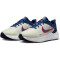 NIKE Downshifter 12 Laufschuhe Herren 012 - sea glass/midnight navy-white 41