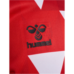 hummel 1. FC K&ouml;ln Karneval Pre-Match Trikot 2023/24...