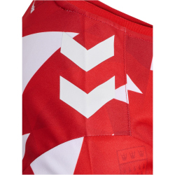 hummel 1. FC K&ouml;ln Karneval Pre-Match Trikot 2023/24...