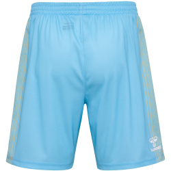 hummel 1. FC K&ouml;ln Karneval Torwartshorts 2023/24 Kinder