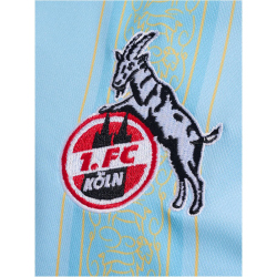 hummel 1. FC K&ouml;ln Karneval Torwarttrikot 2023/24 Kinder