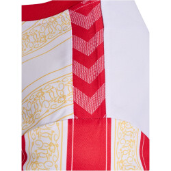 hummel 1. FC Köln Karneval Trikot 2023/24