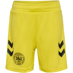 hummel DBU D&auml;nemark Torwartshorts 2024 Kinder