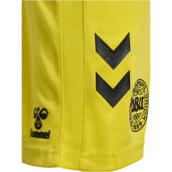 hummel DBU D&auml;nemark Torwartshorts 2024 Kinder