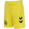 hummel DBU Dänemark Torwartshorts 2024 Kinder