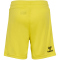 hummel DBU Dänemark Torwartshorts 2024 Kinder