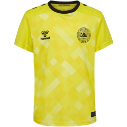 hummel DBU D&auml;nemark Torwarttrikot 2024 Kinder