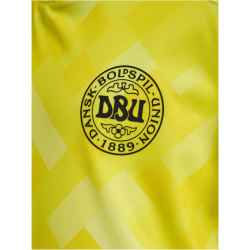 hummel DBU D&auml;nemark Torwarttrikot 2024 Kinder